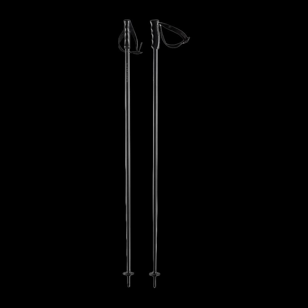 Ski poles
