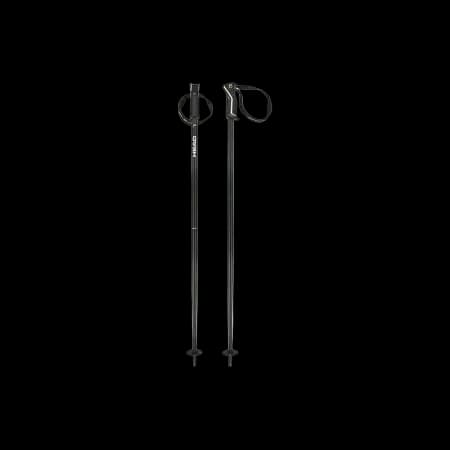 HEAD Frontside Black White Ski Pole